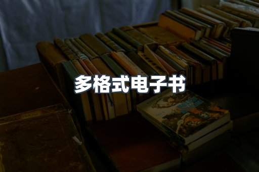 多格式电子书